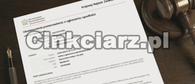 Upadłość Cinkciarz.pl – co dalej z jednym z największych kantorów internetowych w Polsce?