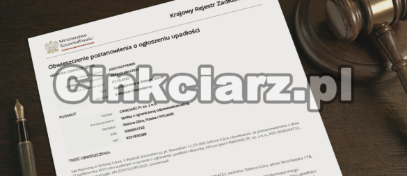 Upadłość Cinkciarz.pl – co dalej z jednym z największych kantorów internetowych w Polsce?